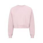 Clique Miami Cropped